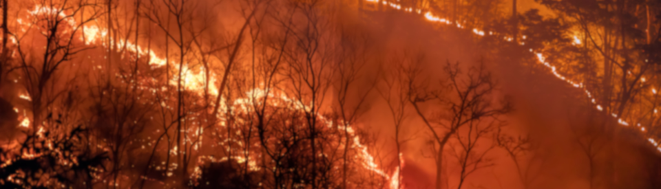 Stock image of a wildfire seen from above