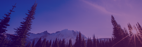 Pine trees and snow capped mountains