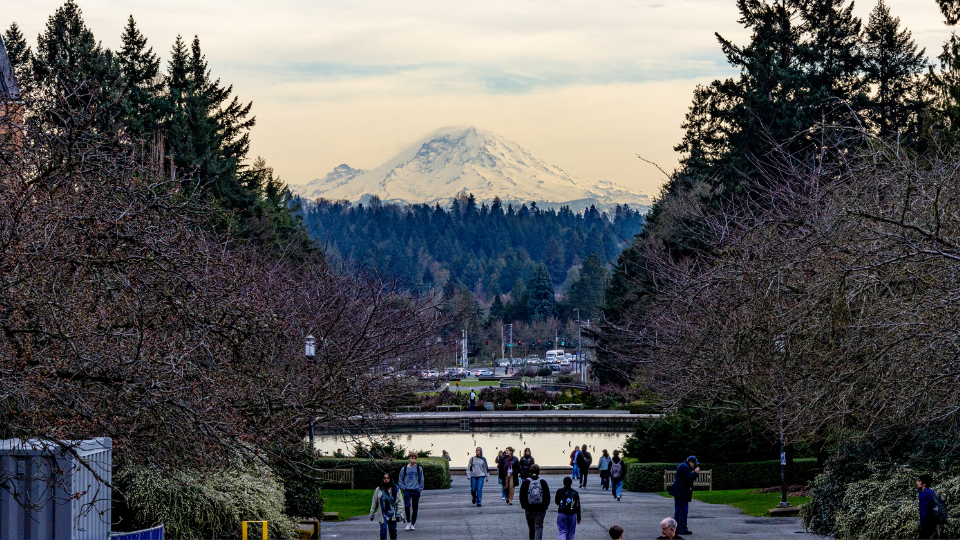 A view of Mt. Rainier from the UW Campus Quad