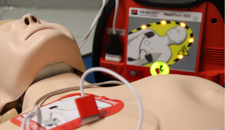 An EMS test dummy