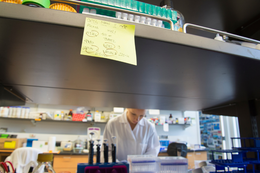 A researcher conducts work in the lab.