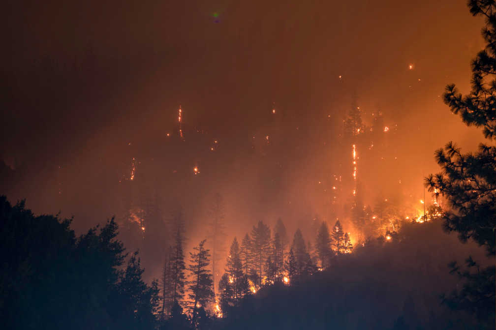 Fire Background