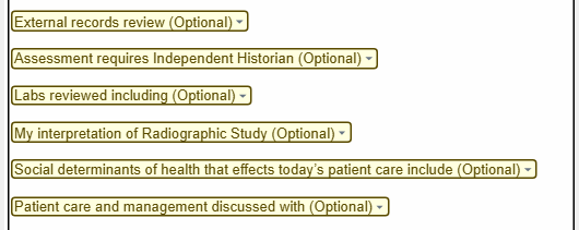 Optional drop-down fields for documenting external records review, independent history, lab review, radiographic study interpretation, social determinants of health, and patient care discussions.