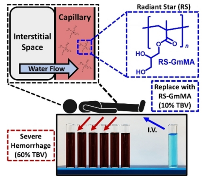 Traumatic injury is a leading cause of global suffering and death. We rationally design polymeric, low volume resuscitants (LVRs) for the prehospital treatment of severe hemorrhagic shock. By varying polymer architecture, Rg, and composition to influence resuscitation, coagulation, and biodistribution, we developed a radiant star polymer that is non-coagulopathic and corrects 60 % total blood volume (TBV) loss when given at only 10 % TBV. This highly portable LVR has profound potential for application in trauma medicine.