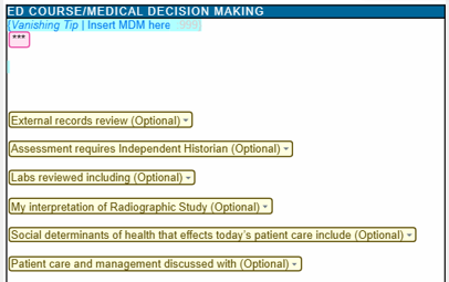 Screenshot of the electronic medical record's "ED Course/Medical Decision Making" documentation section with a free-text field and optional drop-down menus for documenting external records, history, labs, imaging, social determinants of health, and care discussions.