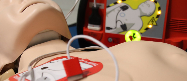An EMS dummy
